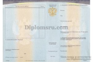 приложение к диплому спо 2014-2026 цена